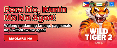 Win Big with 58Jili Slots